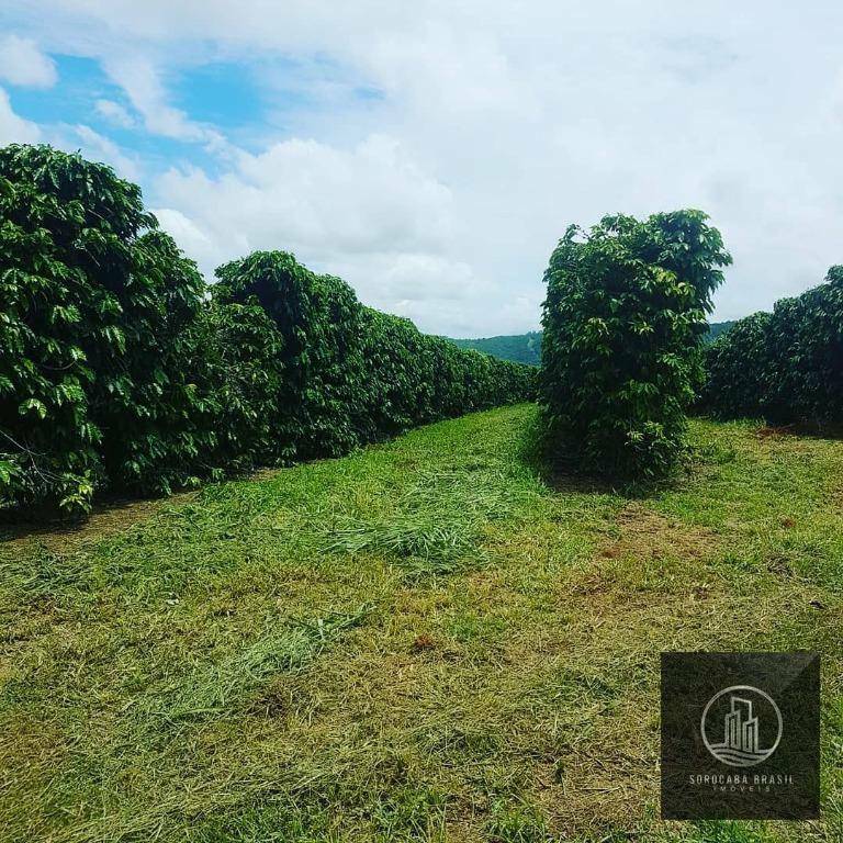 Fazenda à venda com 20 quartos, 7986000M2 - Foto 17