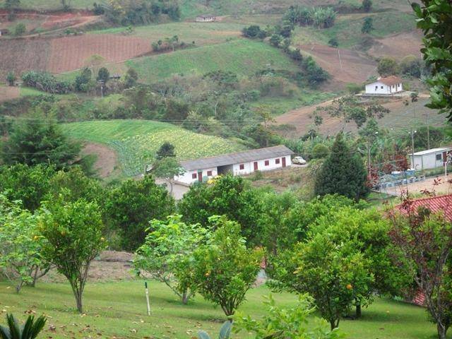 Fazenda à venda com 3 quartos, 400m² - Foto 28