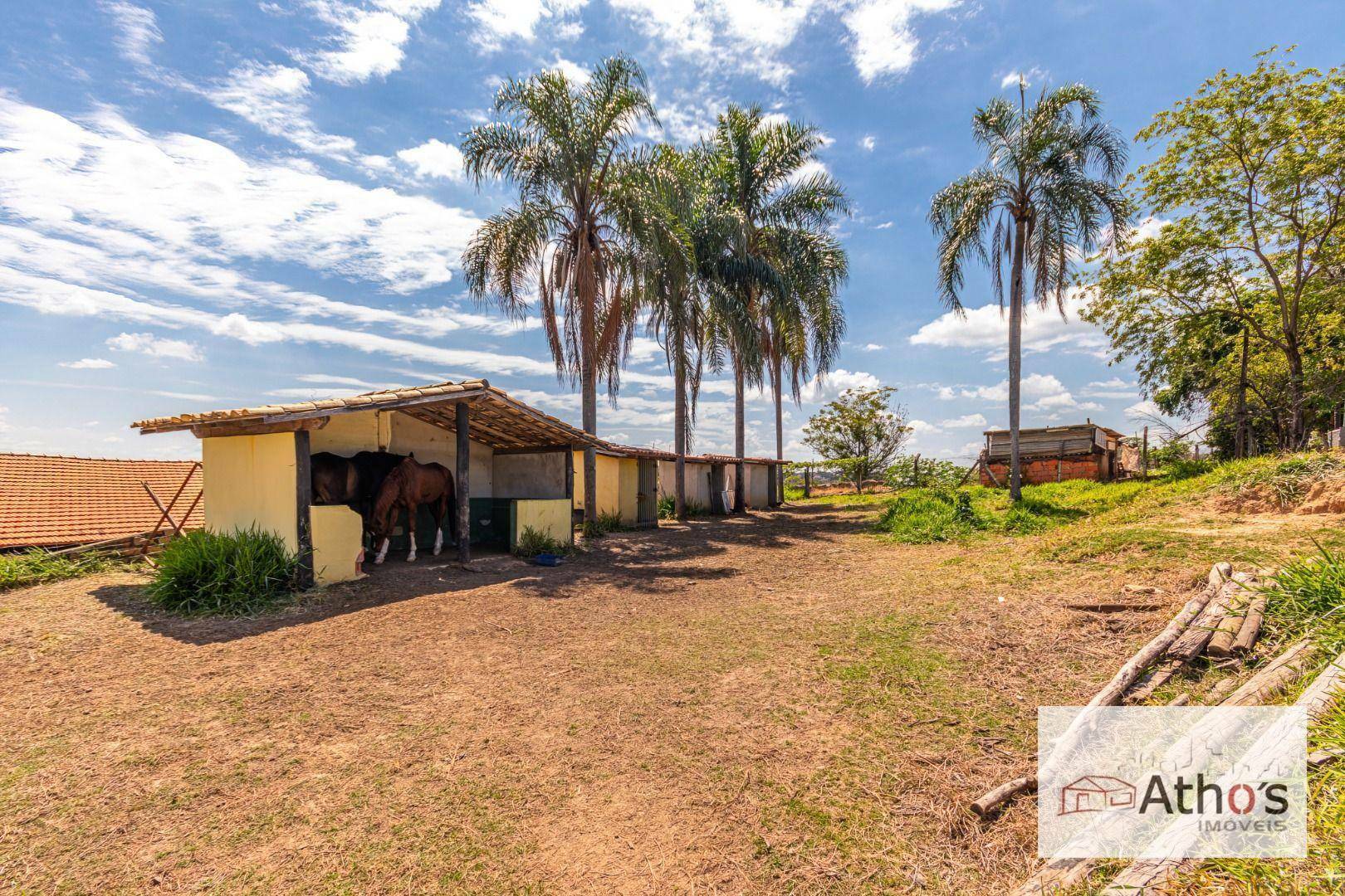 Haras e Área Rural Padrão à venda, 20140M2 - Foto 9