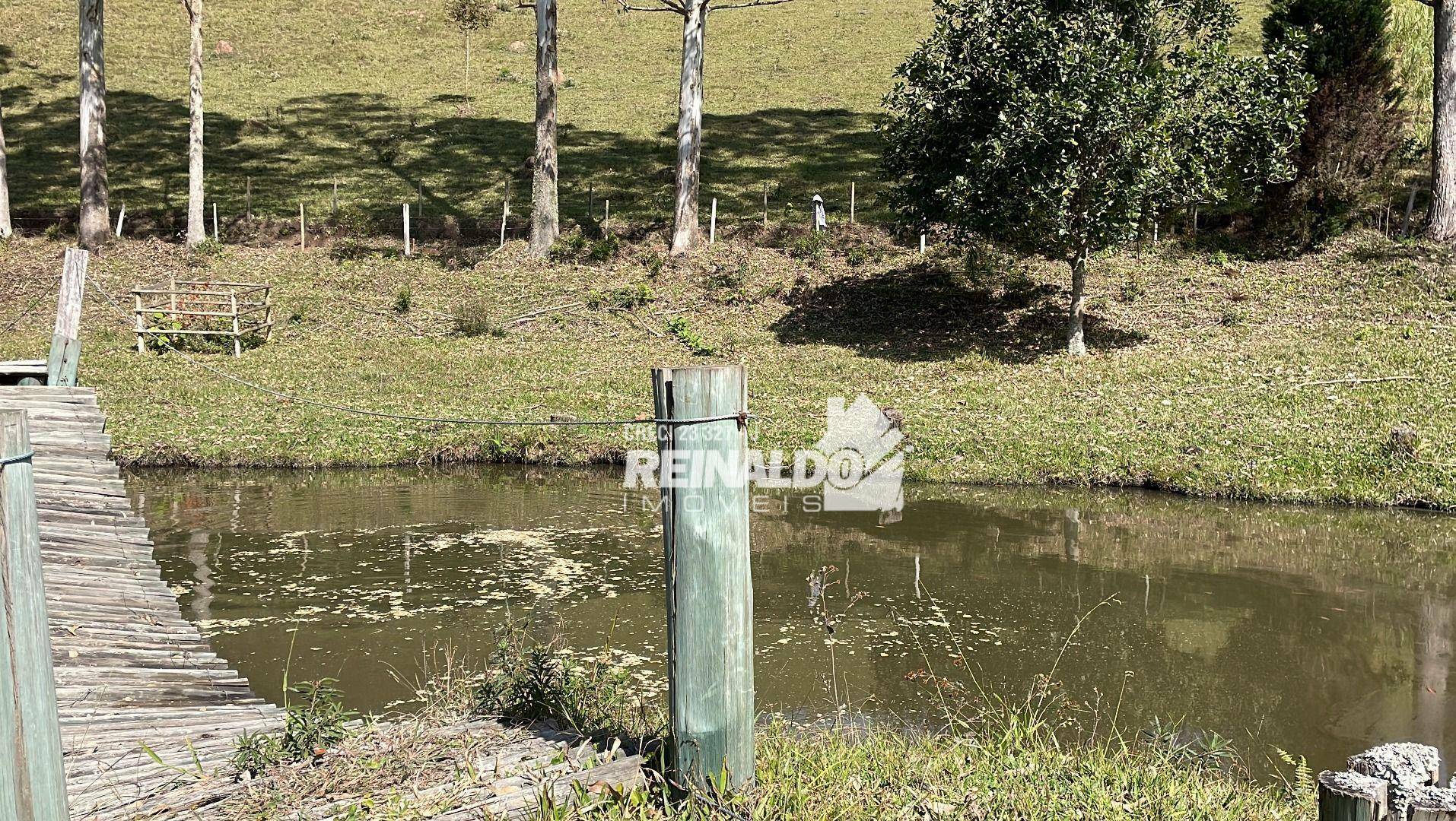 Fazenda à venda com 8 quartos, 900m² - Foto 70