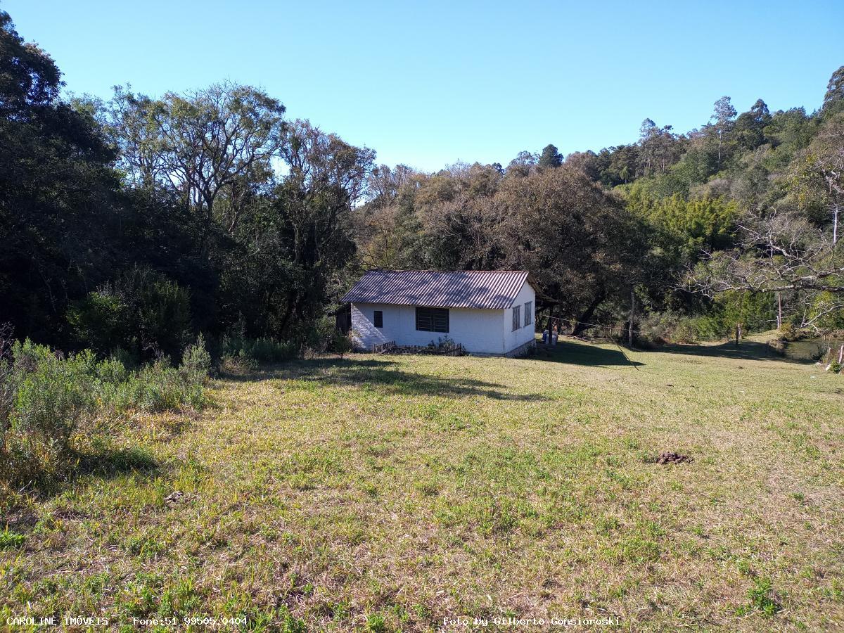 Fazenda à venda com 4 quartos, 160000m² - Foto 19