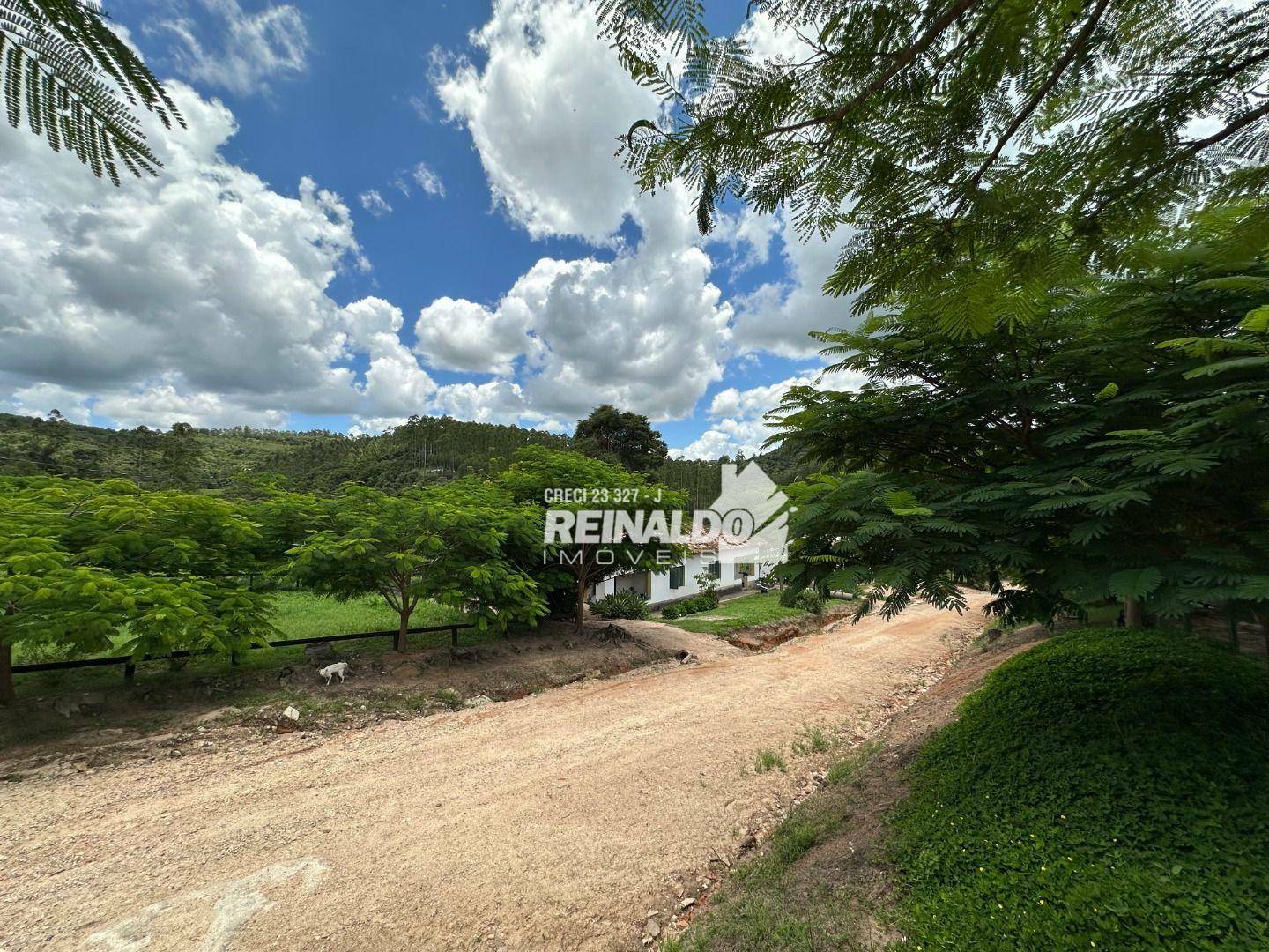 Sítio à venda com 3 quartos, 2920m² - Foto 3