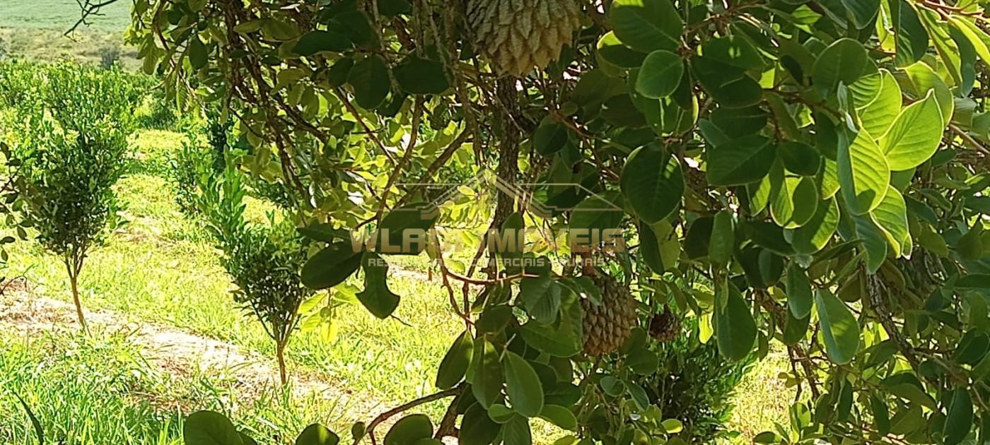 Fazenda à venda, 64m² - Foto 7