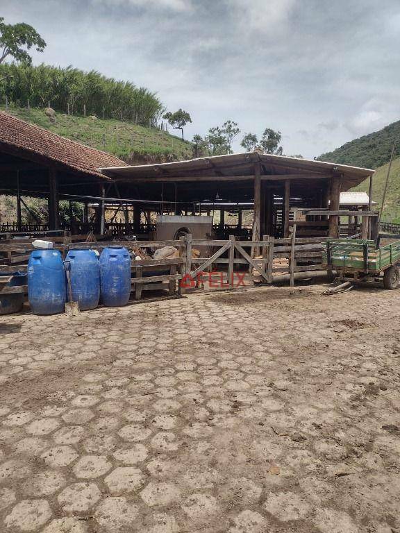 Fazenda à venda com 3 quartos, 1400000M2 - Foto 5