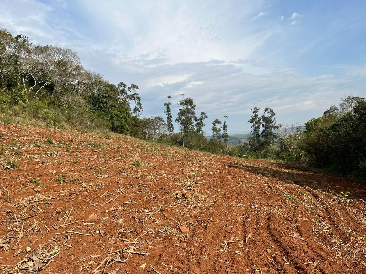 Terreno à venda, 30000m² - Foto 14