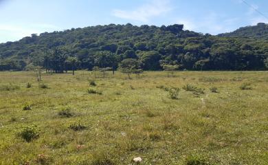 Fazenda à venda com 2 quartos, 290000m² - Foto 12