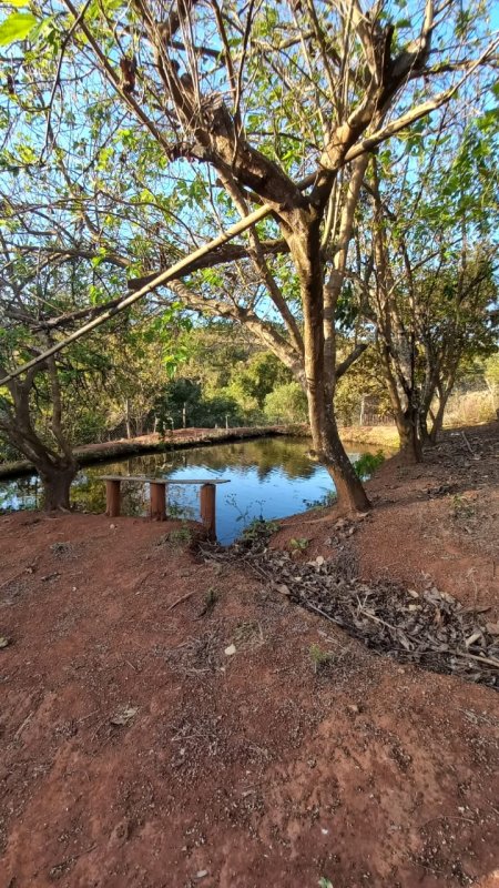 Fazenda para lancamento com 6 quartos, 2000m² - Foto 18