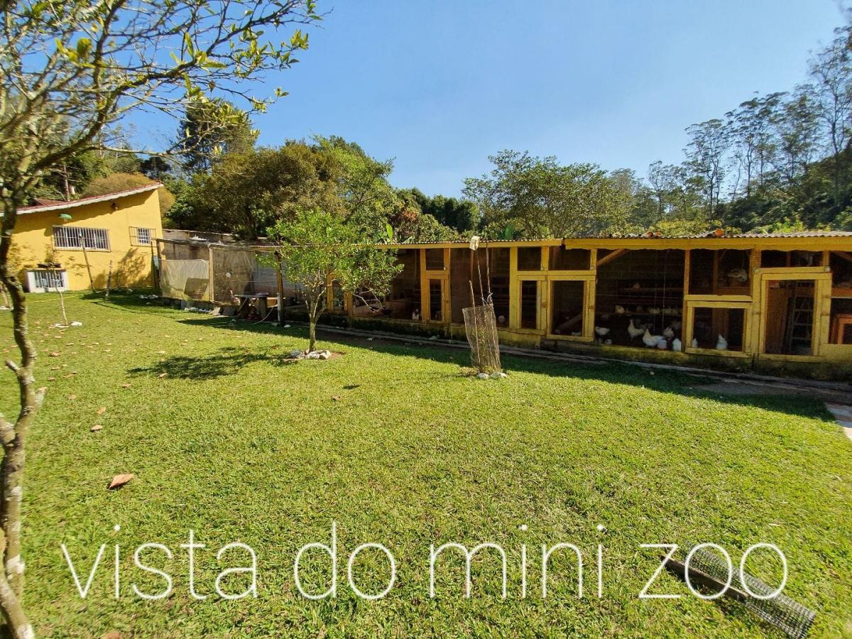 Fazenda à venda com 3 quartos, 4250m² - Foto 9