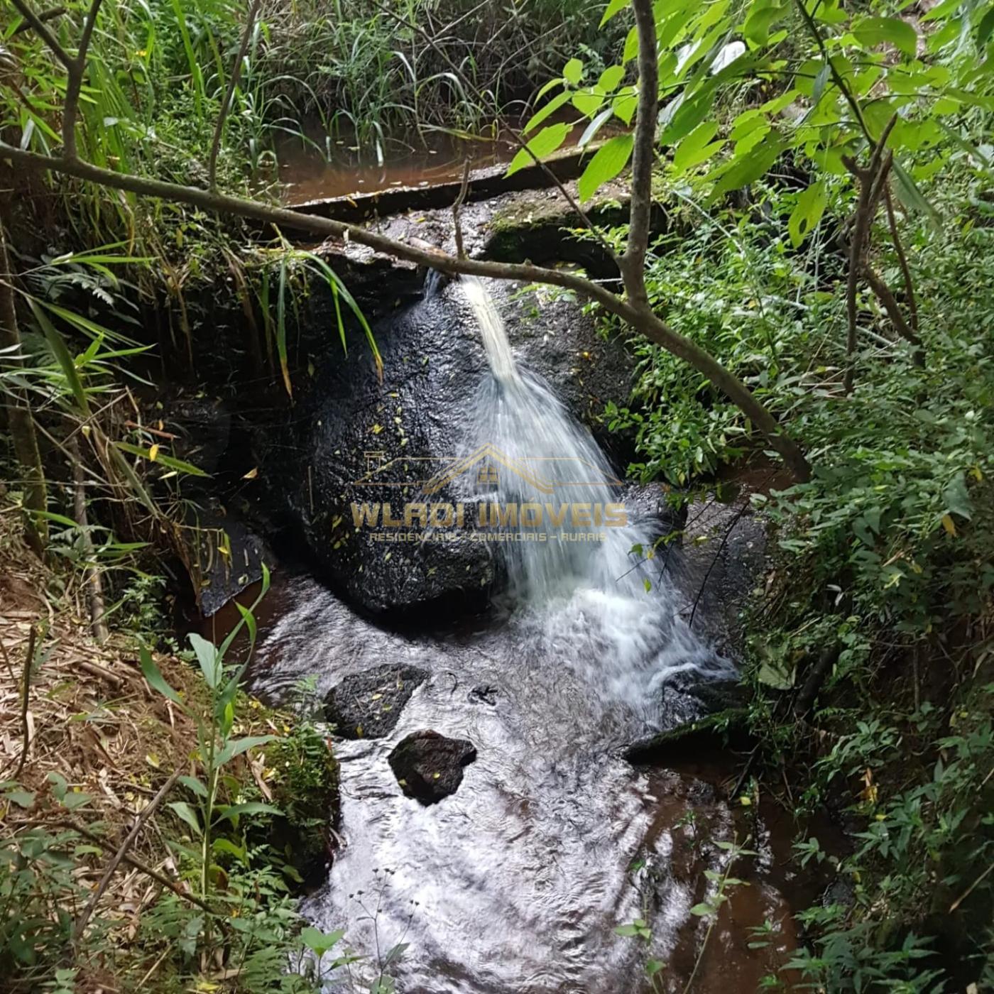 Fazenda à venda com 4 quartos, 45600m² - Foto 3