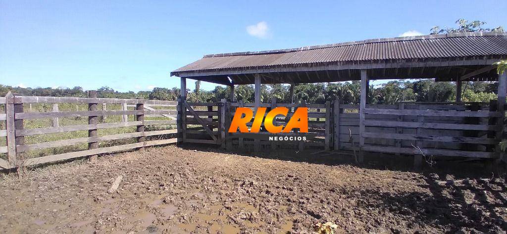 Fazenda, 203 hectares - Foto 5