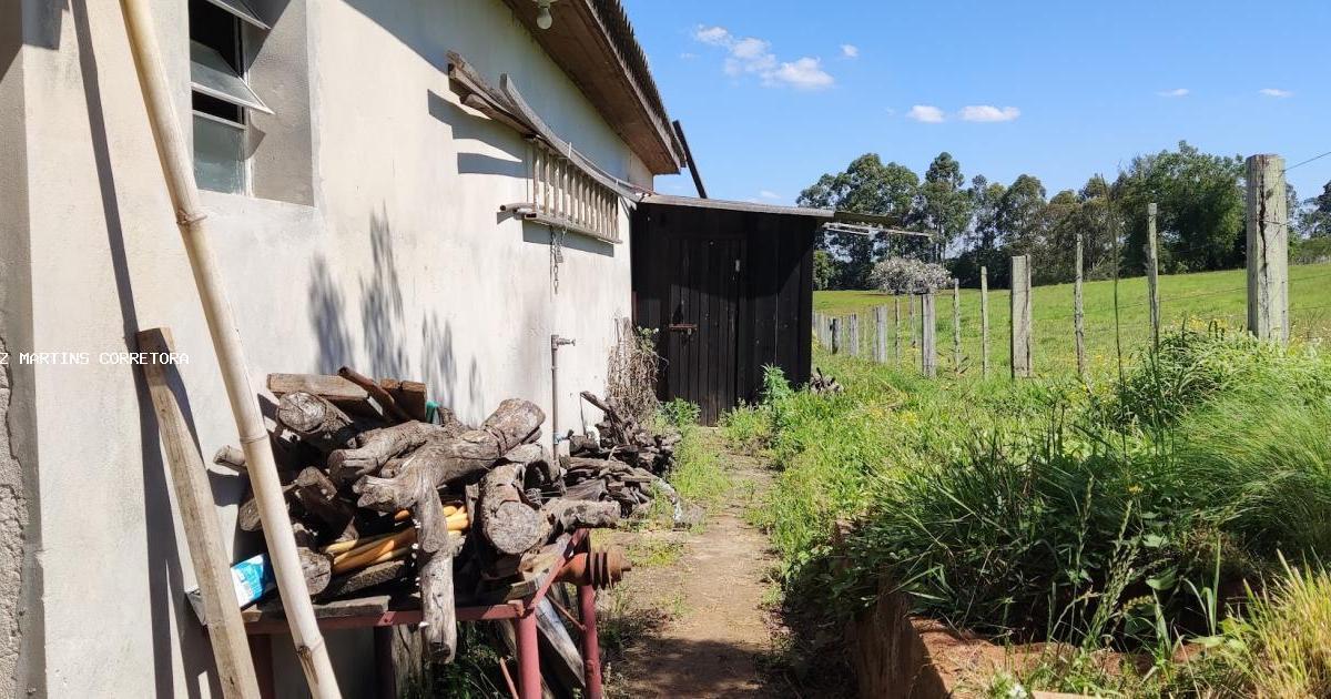 Fazenda à venda com 3 quartos, 5000m² - Foto 6