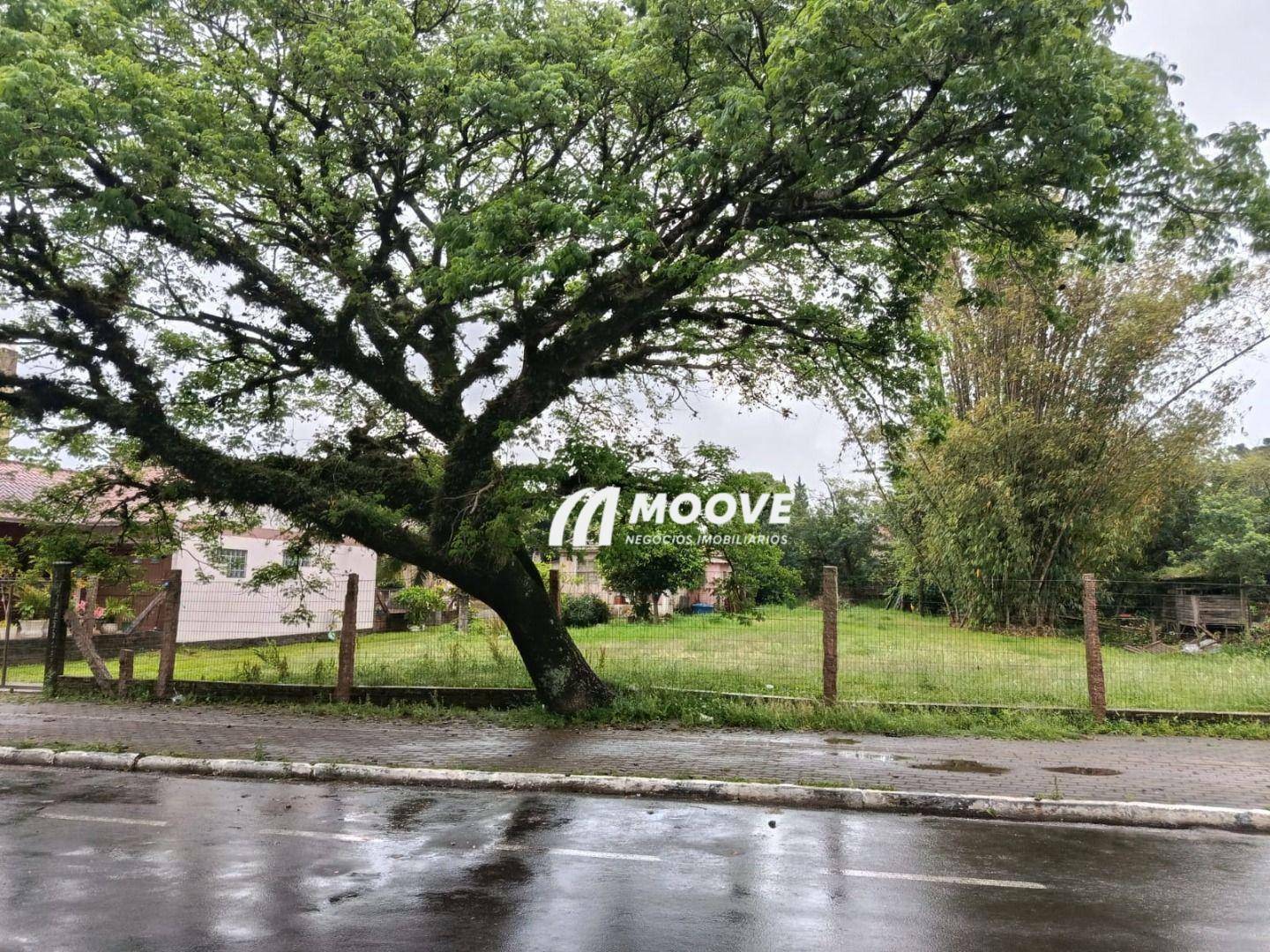 Terreno, 1280 m² - Foto 3