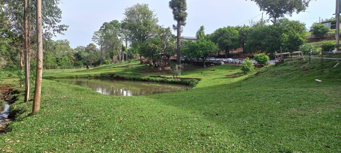 Fazenda à venda com 4 quartos, 12000m² - Foto 2