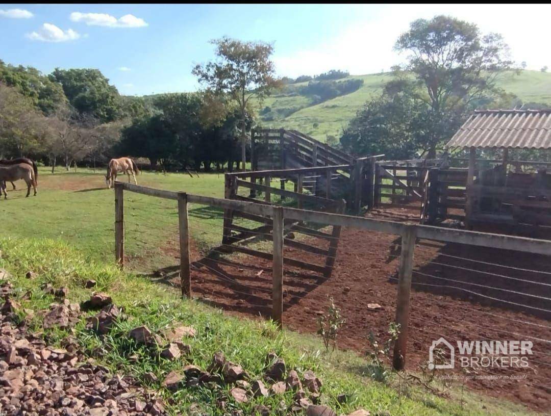 Fazenda à venda com 2 quartos, 2299000M2 - Foto 17