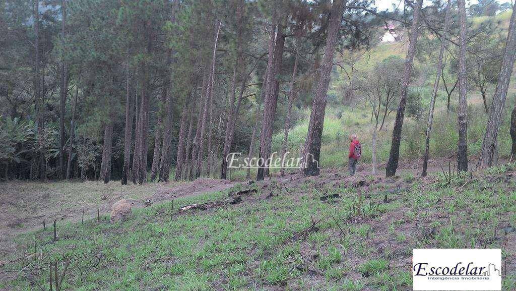 Terreno à venda, 3282M2 - Foto 3