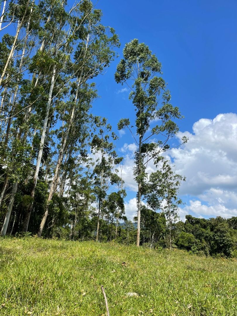 Terreno à venda, 55000M2 - Foto 9