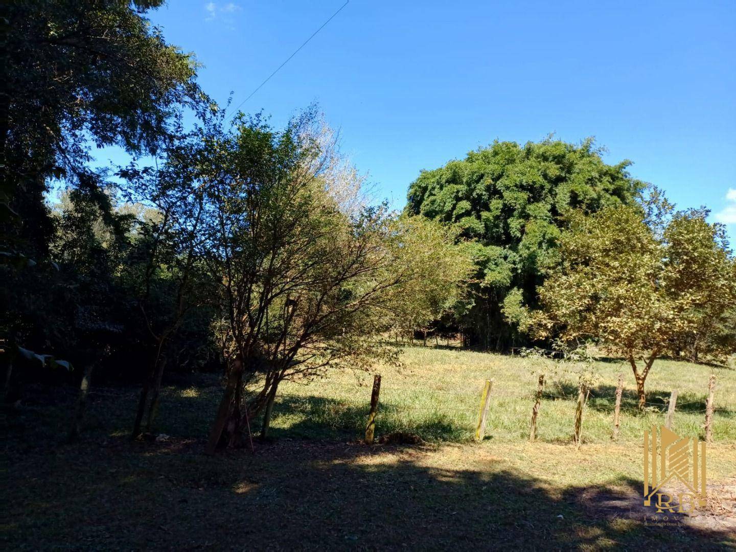 Chácara à venda com 2 quartos, 10500M2 - Foto 9