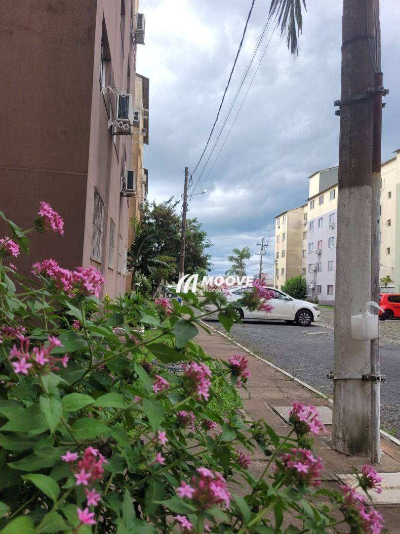 Apartamento, 2 quartos, 38 m² - Foto 2