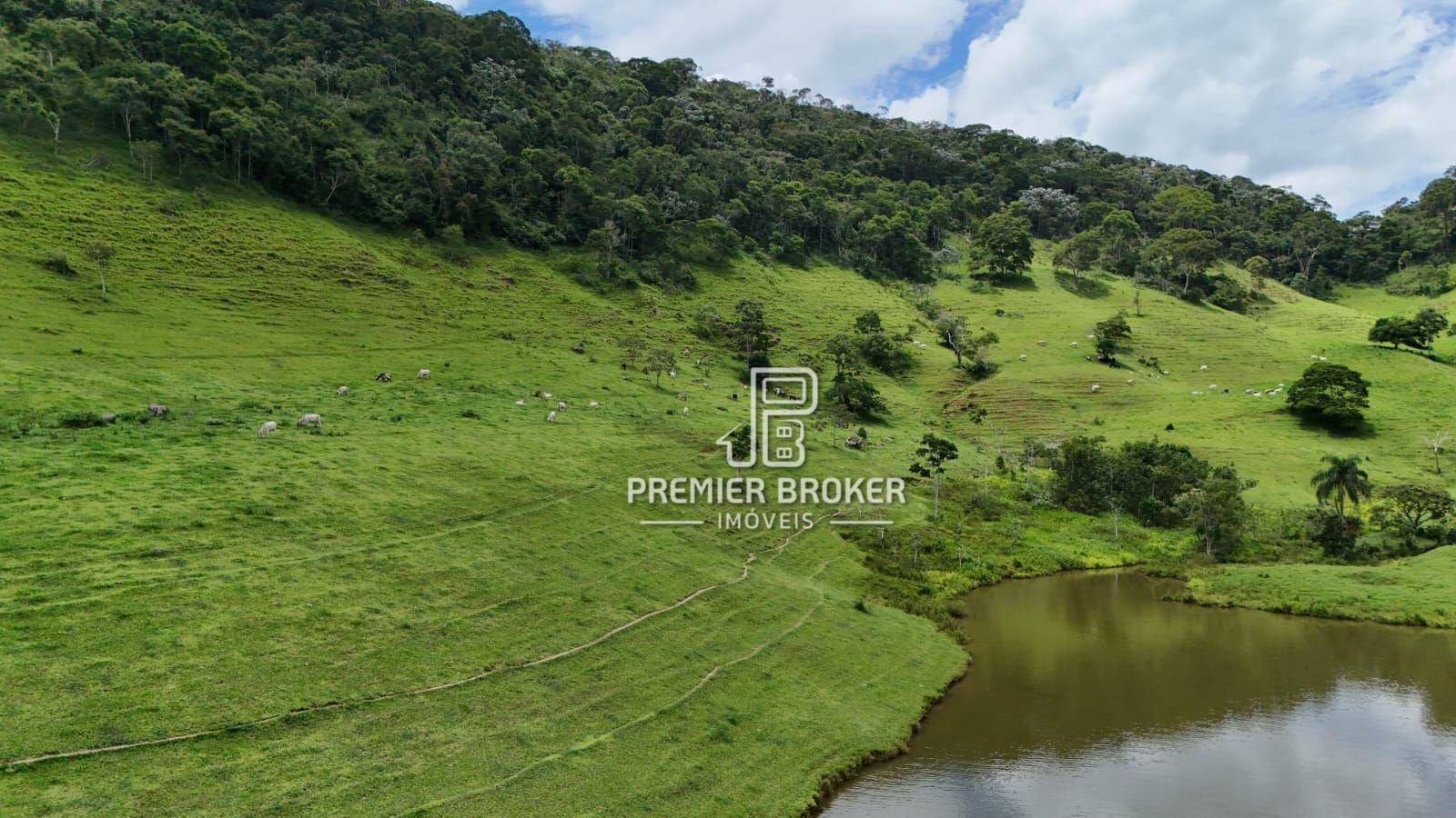 Fazenda à venda com 3 quartos, 250m² - Foto 28