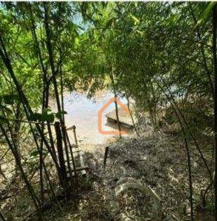 Chácara à venda com 2 quartos, 2000M2 - Foto 3