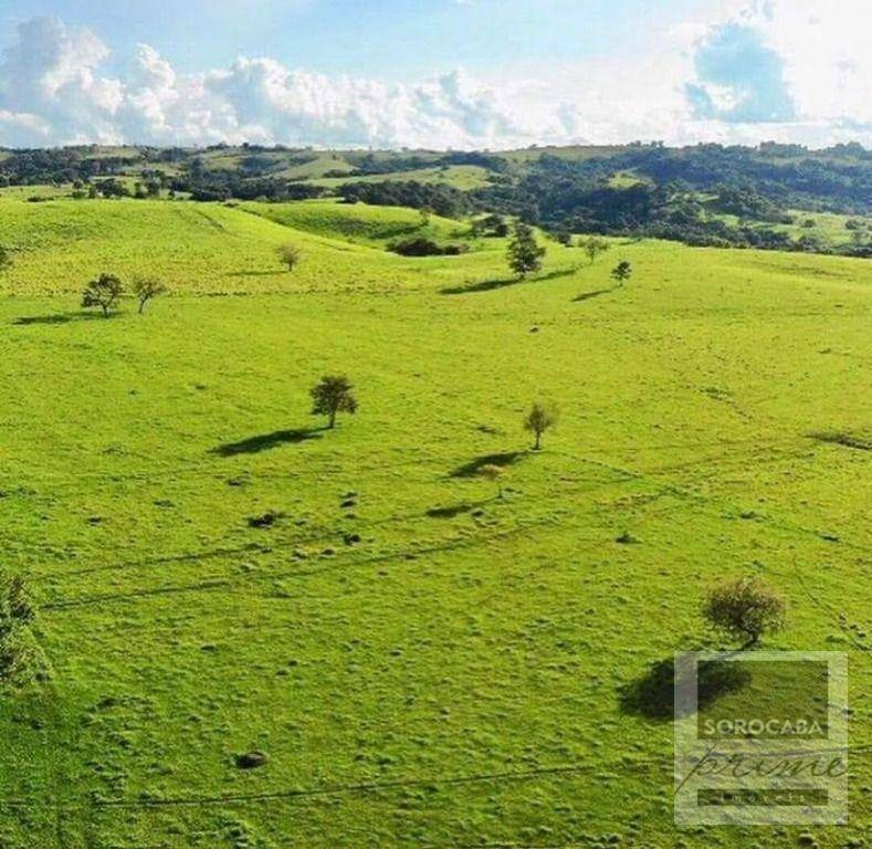 Fazenda à venda, 6050000M2 - Foto 8