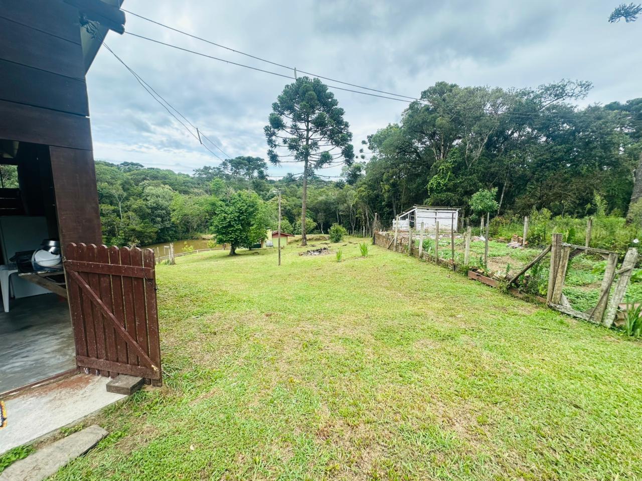 Fazenda à venda com 3 quartos, 8000m² - Foto 39