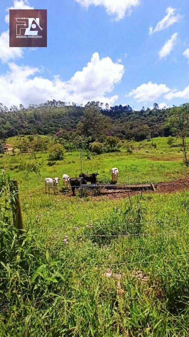 Terreno à venda, 24200M2 - Foto 8