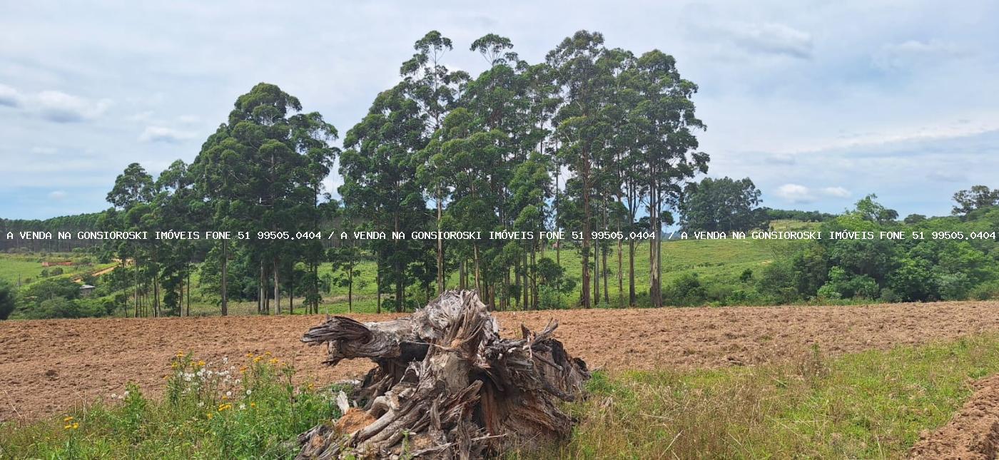 Chácara à venda com 3 quartos, 20000m² - Foto 18