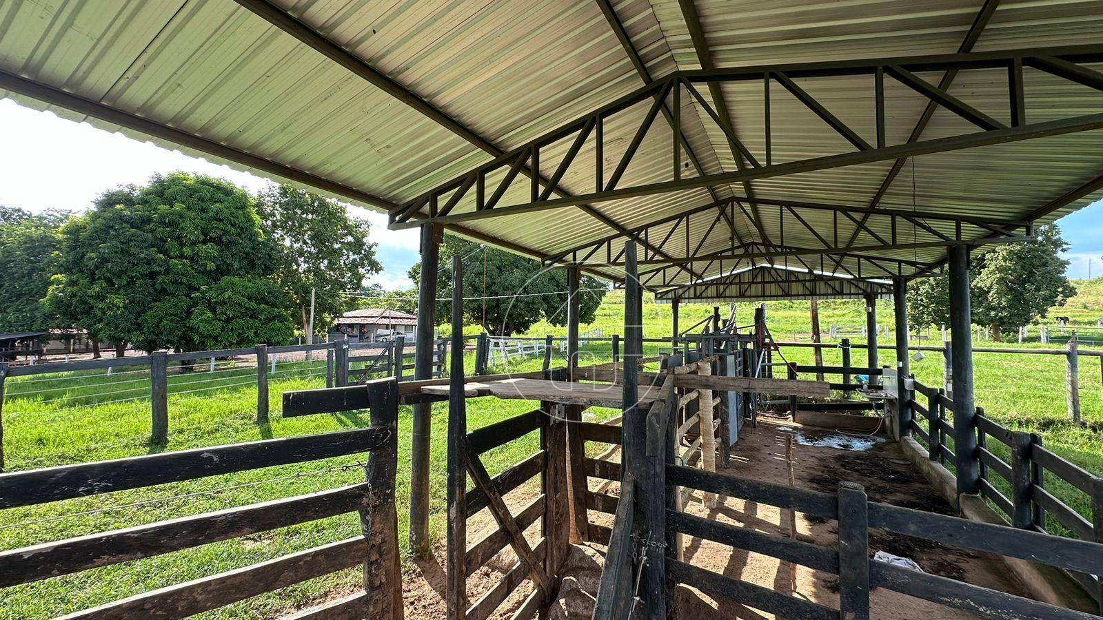 Fazenda-Sítio-Chácara, 53 hectares - Foto 4