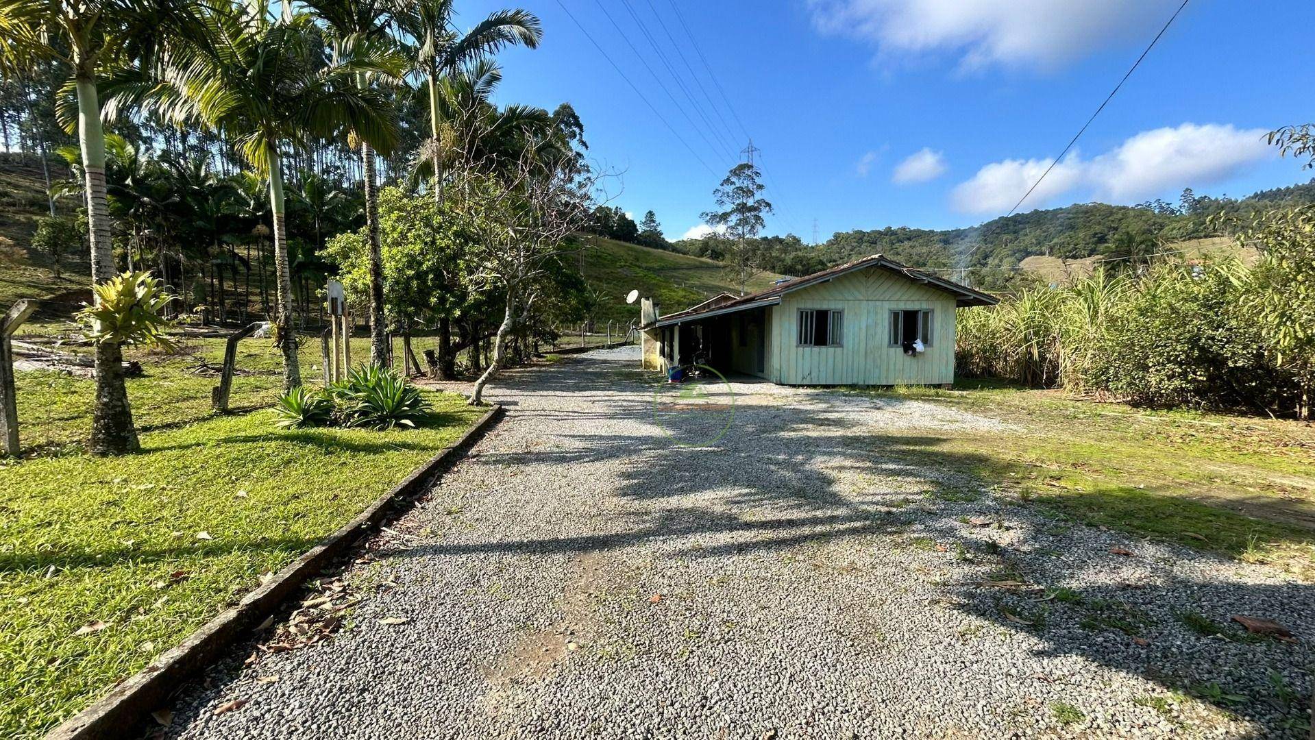 Sítio, 10000 m² - Foto 1