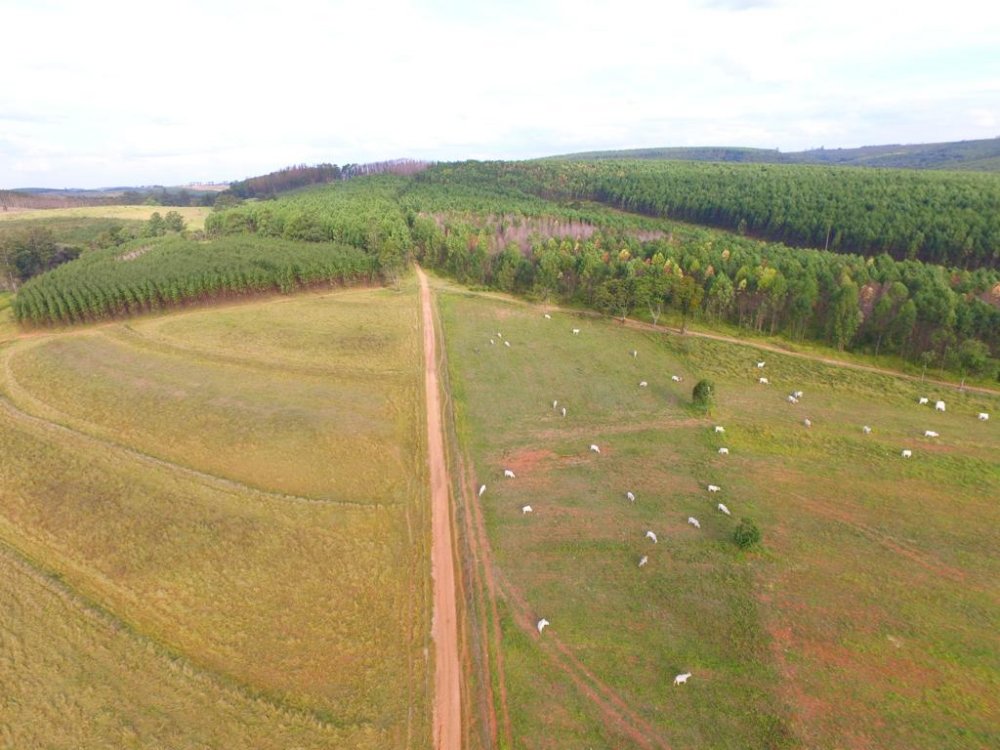 Sítio, 46 hectares - Foto 4