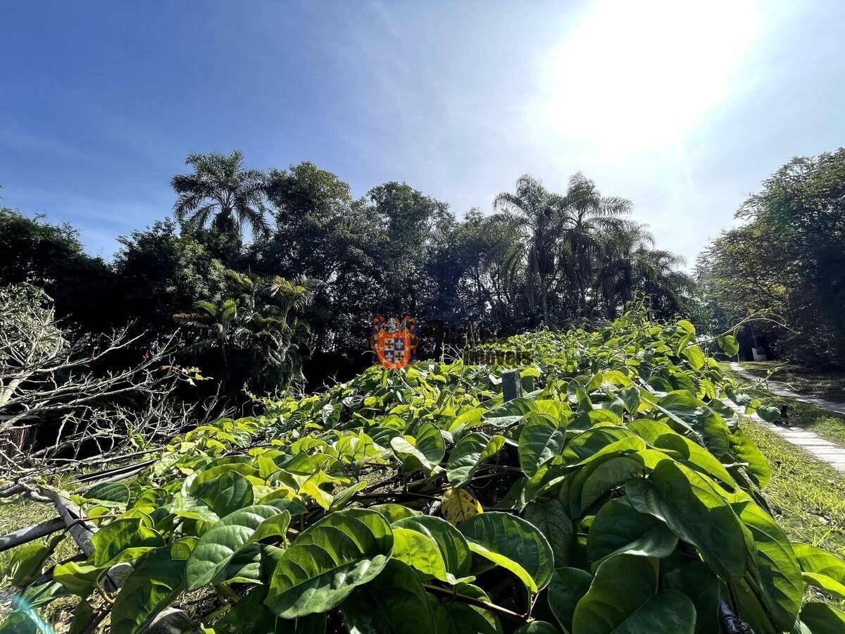 Sítio à venda com 8 quartos, 34463M2 - Foto 74