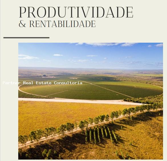 Fazenda à venda com 10 quartos, 1216m² - Foto 1