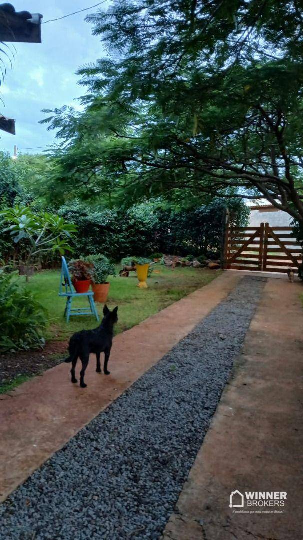 Chácara, 3 quartos, 1000 m² - Foto 5