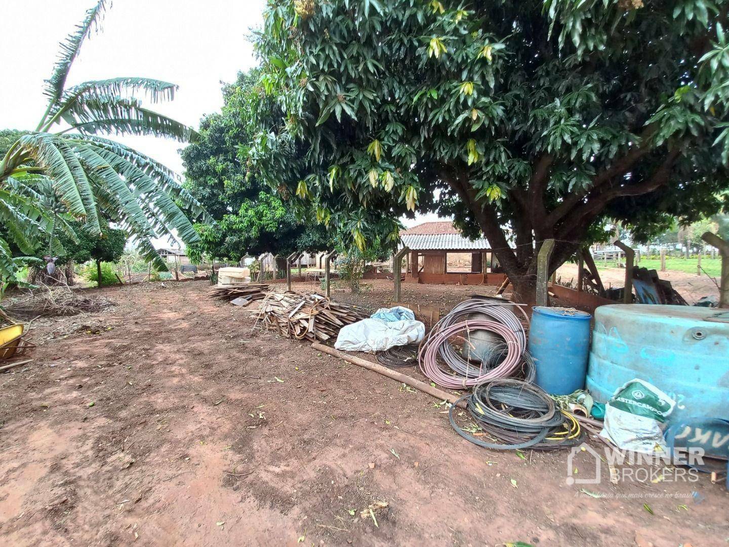 Chácara, 3 quartos, 2 hectares - Foto 9