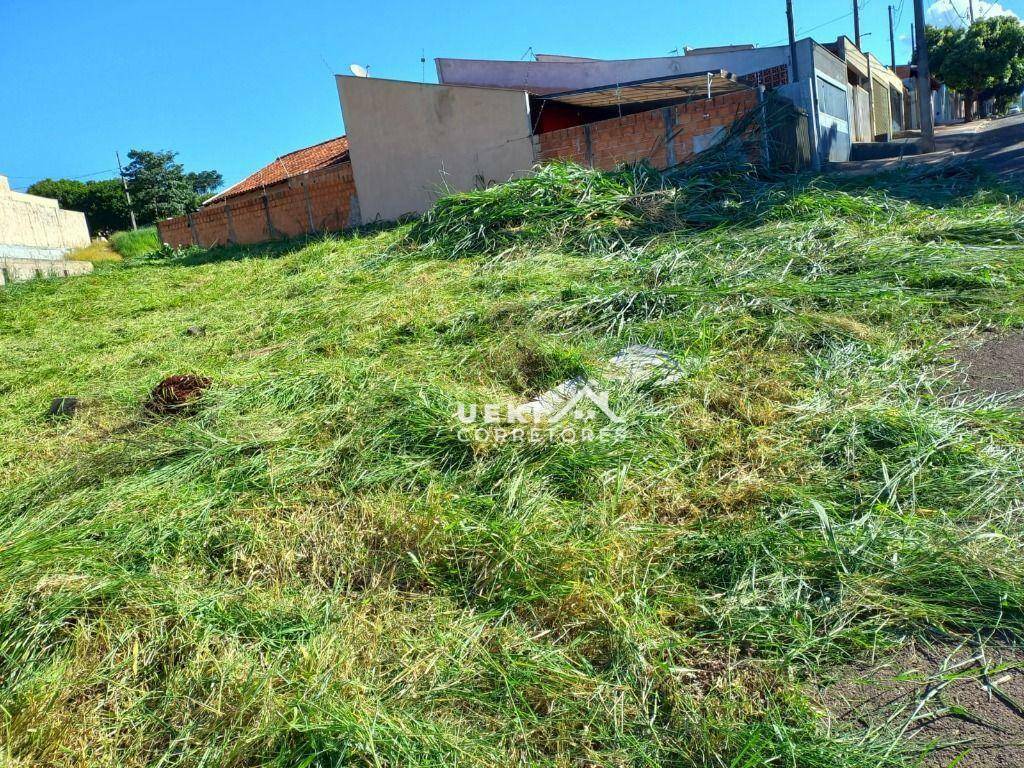 Terreno à venda, 316M2 - Foto 2