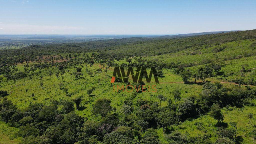Fazenda, 823 hectares - Foto 11