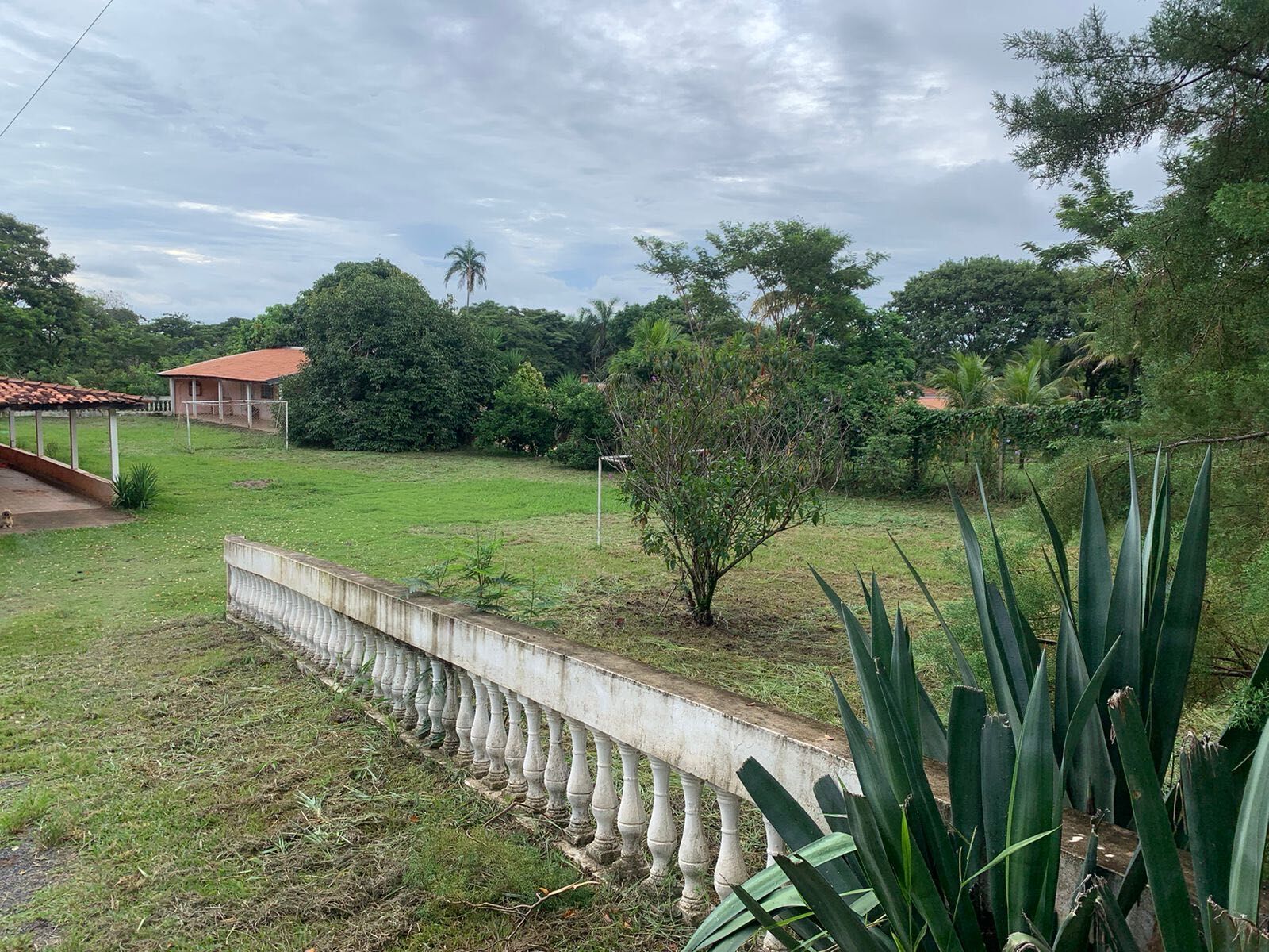 Fazenda à venda com 4 quartos, 5000m² - Foto 2