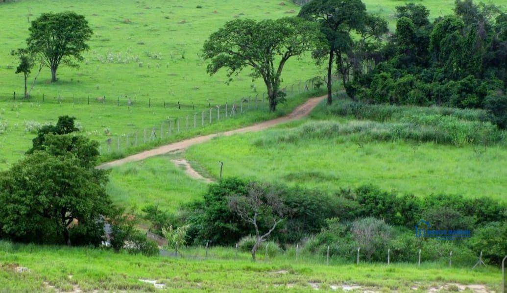 Terreno à venda, 300M2 - Foto 1