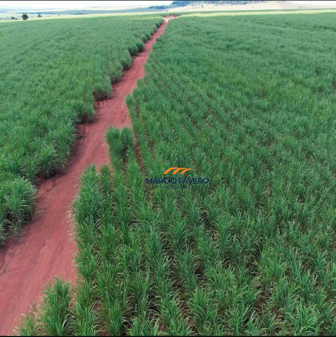 Fazenda, 465 hectares - Foto 2