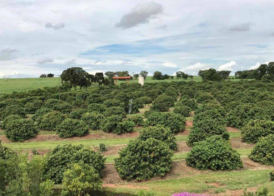 Sítio à venda com 6 quartos, 250000M2 - Foto 26