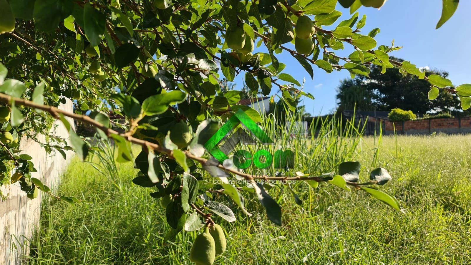 Terreno à venda, 520M2 - Foto 7