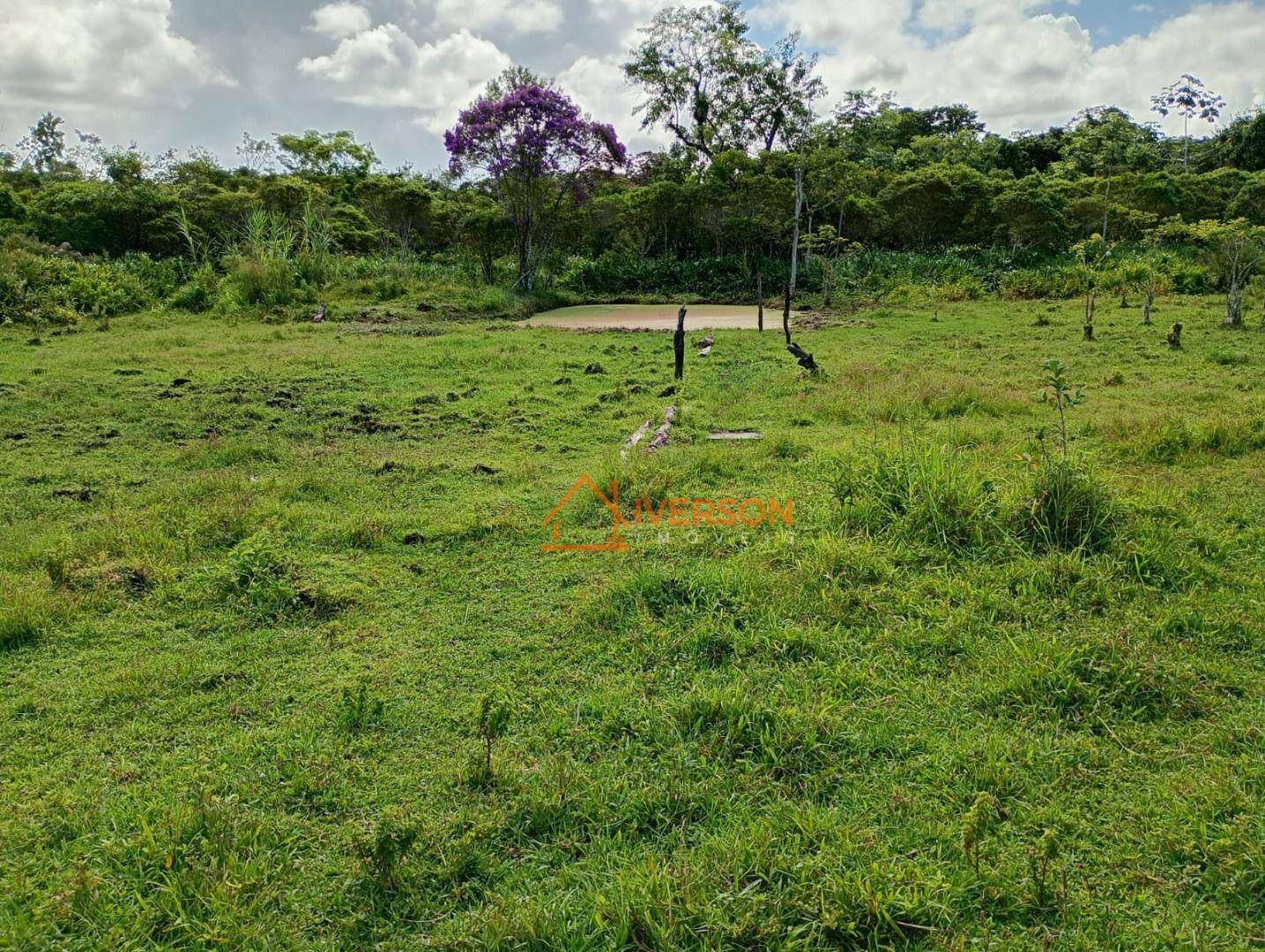 Chácara à venda com 2 quartos, 200m² - Foto 9
