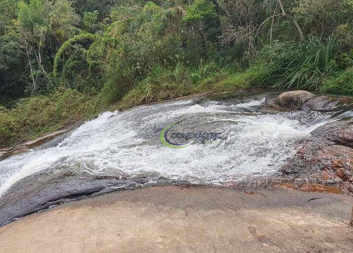 Chácara à venda com 1 quarto, 20000M2 - Foto 4