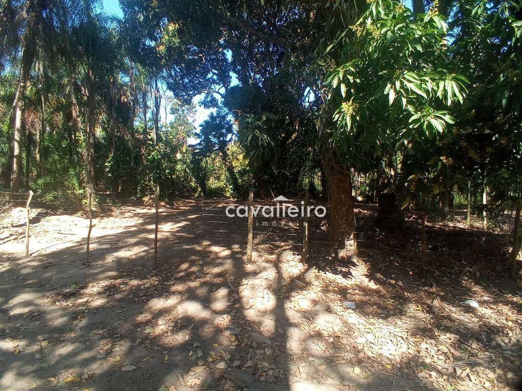 Terreno, 2000 m² - Foto 3