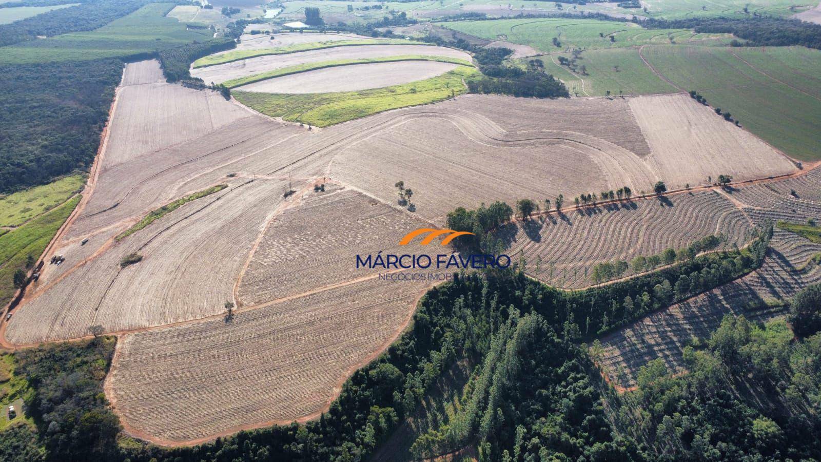 Fazenda, 78 hectares - Foto 1