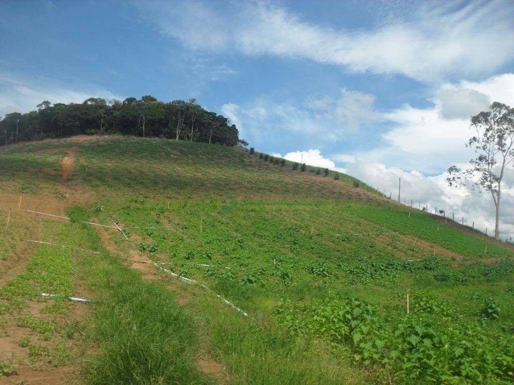 Fazenda à venda com 3 quartos, 120m² - Foto 20