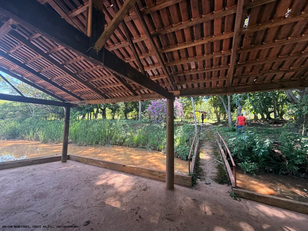 Chácara, 5 hectares - Foto 1