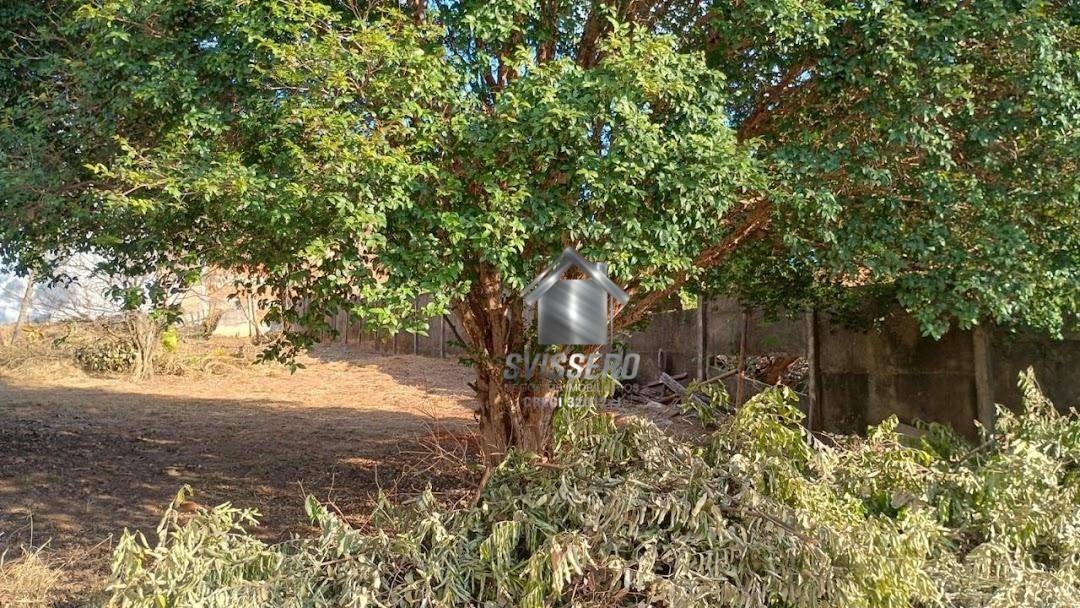 Casa, 3 quartos, 789 m² - Foto 5