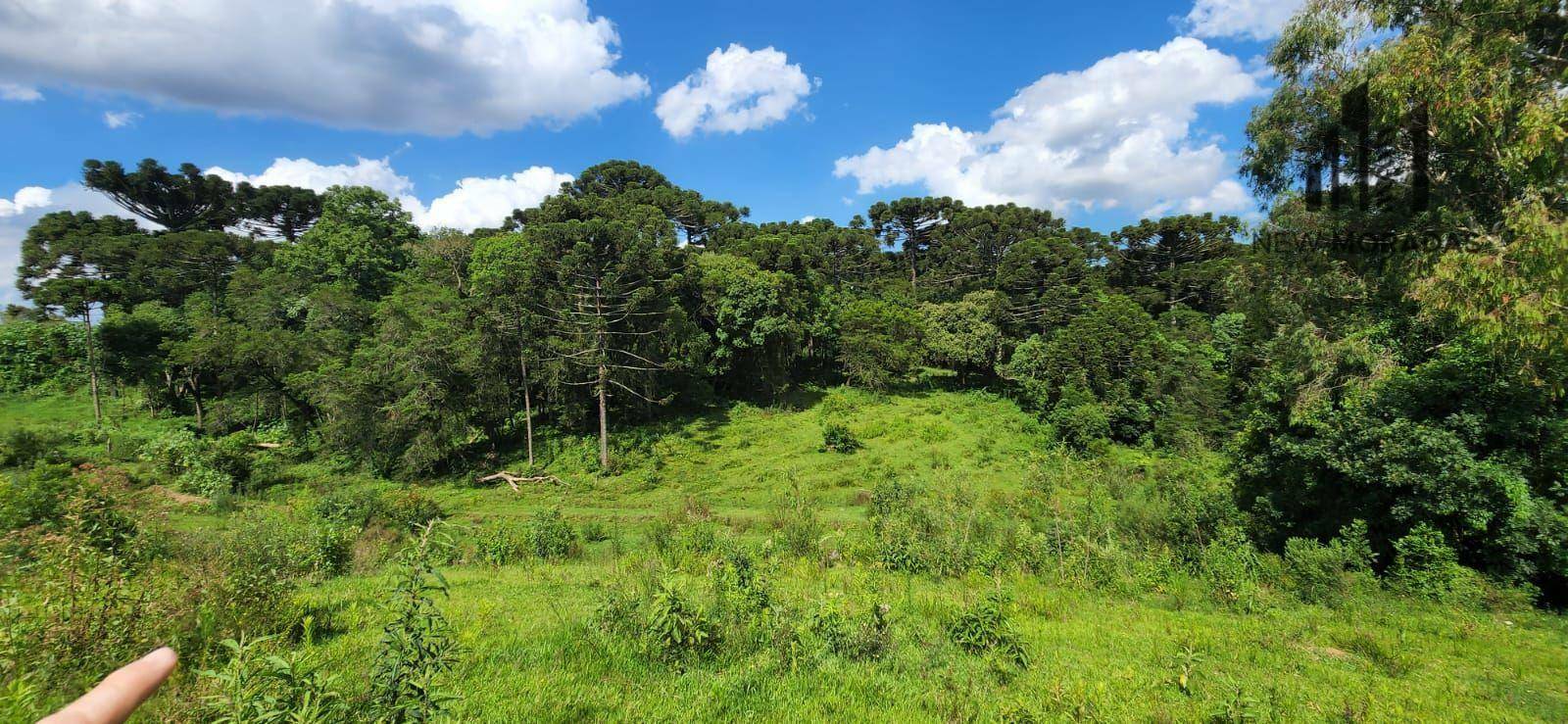 Terreno à venda, 15217M2 - Foto 10